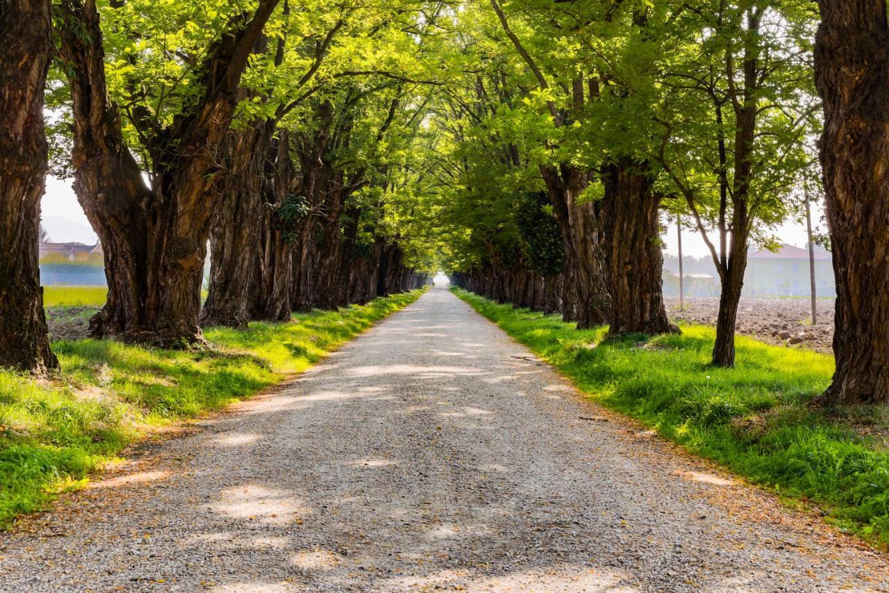 ווגרה Agriturismo Le Corti Della Gualdana מראה חיצוני תמונה